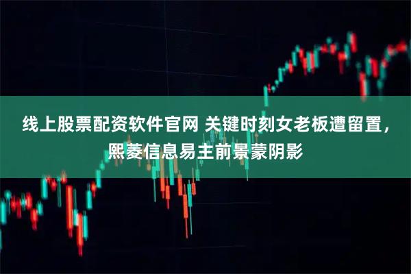 线上股票配资软件官网 关键时刻女老板遭留置，熙菱信息易主前景蒙阴影