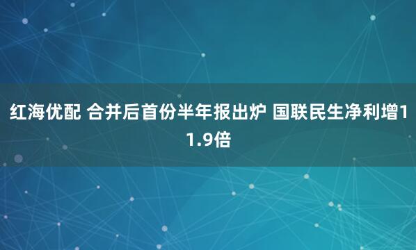 红海优配 合并后首份半年报出炉 国联民生净利增11.9倍